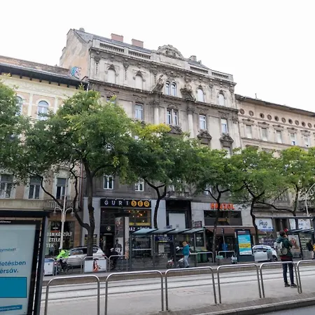 Deluxe Elizabeth W/ 4bedrm, 2bathrm, 1lvngrm Appartement *